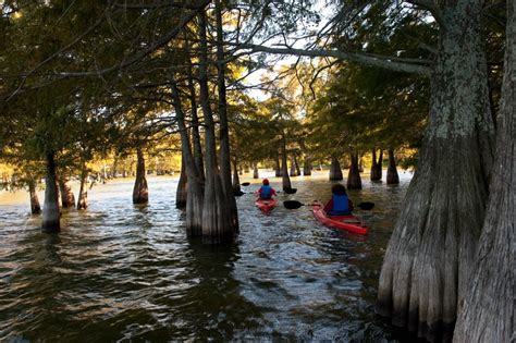 Lake Chicot State Park sits on the edge of the Mississippi River Delta. Campground and cabin ...