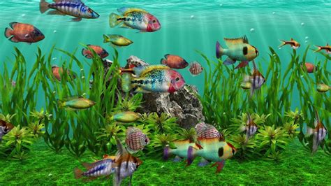3D Aquarium DVD Screensaver Download