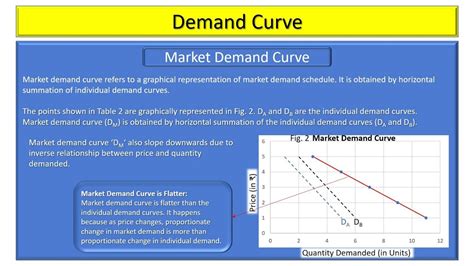 #5 Individual & Market Demand Schedule, Curve, Slope and Function I Class 11th I Microeconomics ...