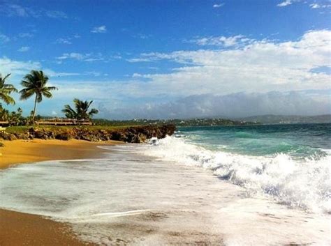 THE 5 BEST Beach Resorts in Tobago (with Prices) - Tripadvisor