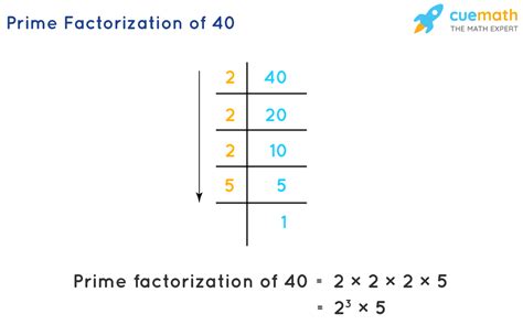 What Is Prime Factorization - MeaningKosh