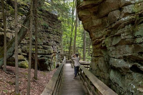 West Virginia State Parks | List + Map of State Parks in WV