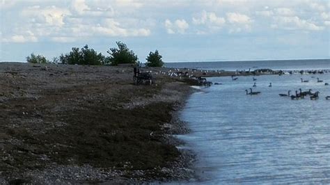 Long Beach Conservation Park (Wainfleet, Ontario): Visiting Long Beach Conservation Park (with ...