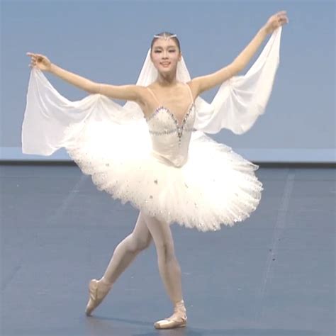 New Adult Swan Lake Ballet Dance Costumes Professional Platter Tutu Ballet Dress Women Girl ...