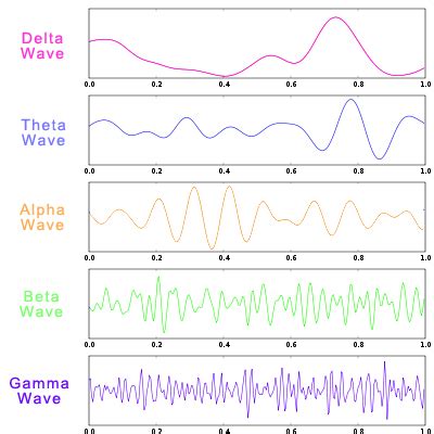 Ideal City Living - ICL, GTV: Different Types of Brain Waves: Delta ...