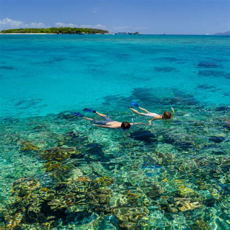 Green Island & Great Barrier Reef Snorkelling - Great Adventures Cruises | Great Adventures