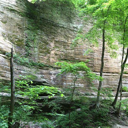 Starved Rock State Park (Utica) - 2020 All You Need to Know BEFORE You Go (with Photos ...