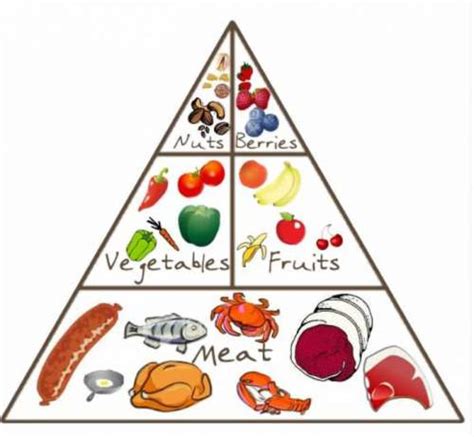 The Paleo Diet Food Pyramid: 5 things to know