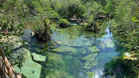 Tulum Cenote Azul - Everything You Need To Know