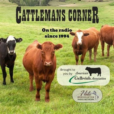 Rodeo Reed Flake - Pasture Size | Cattleman’s Corner Radio