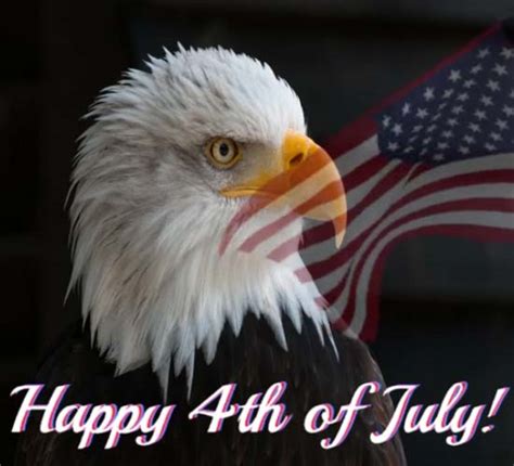 4th Of July Eagle And Flag. Free Happy Fourth of July eCards | 123 Greetings