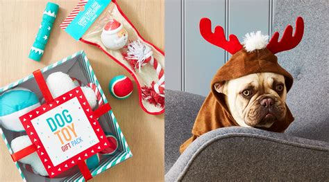 christmas-gifts-for-pets - Kmart