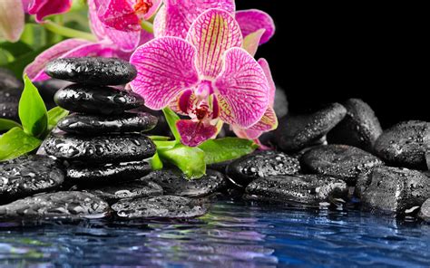 🔥 Download Zen Puter Wallpaper Desktop Background Id by @laurao | Zen Wallpapers for Computer ...