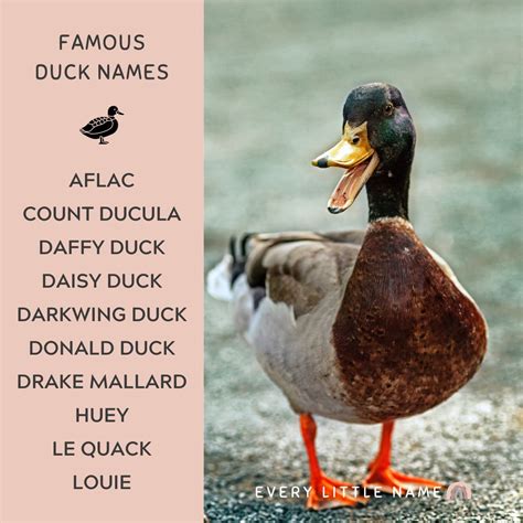 200+ Best Duck Names (Cute, Funny, and Quack-tastic) - Every Little Name