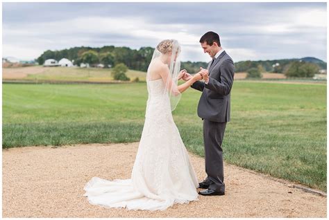 Early Mountain Vineyard Wedding || Romantic, Sunset winery Wedding ...