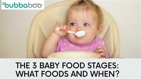 PPT - The 3 Baby Food Stages: What Foods And When? PowerPoint Presentation - ID:11662783