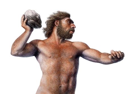 Neanderthal Throwing A Rock Photograph by Mauricio Anton - Fine Art America