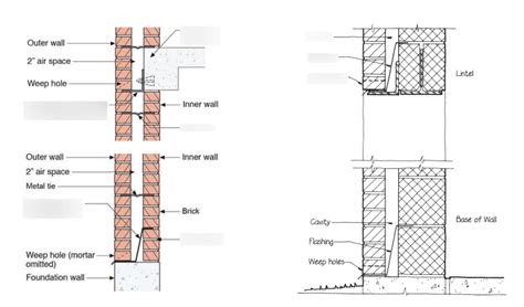 cavity wall section Diagram | Quizlet