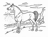Arabian Coloring Page  Pages Arabians Color sketch template