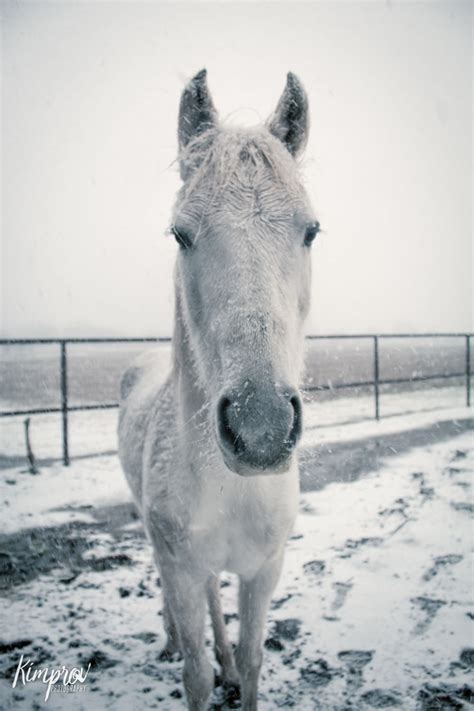 Texas Snow Photos on Behance