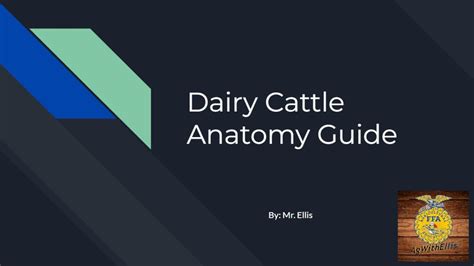 Dairy Cattle Anatomy Guide - YouTube