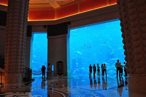 Atlantis The Palm, Dubai | Underwater hotel, Palm jumeirah, Palms hotel