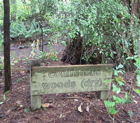 Planning for Diversity at Leach Botanical Garden — Land Morphology