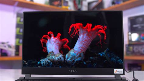 Testing an OLED Laptop Display: It's Pretty Amazing | TechSpot