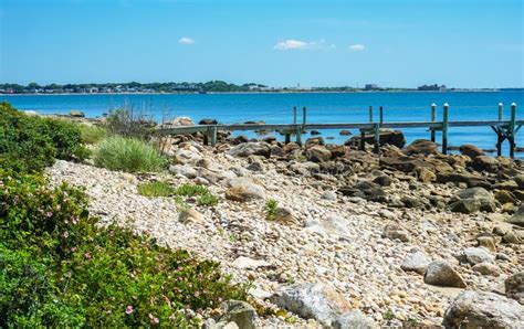 Morning Stony Beach Pier Piink Roses Padnaram Dartmouth Massachusetts Stock Photo - Image of ...