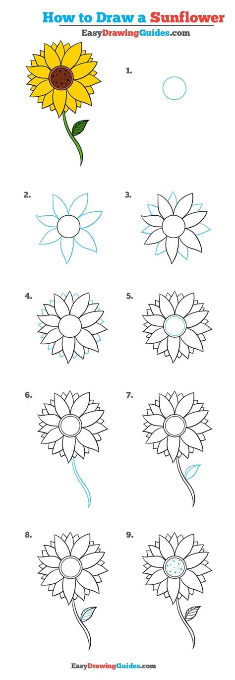 How to Draw a Sunflower - Really Easy Drawing Tutorial