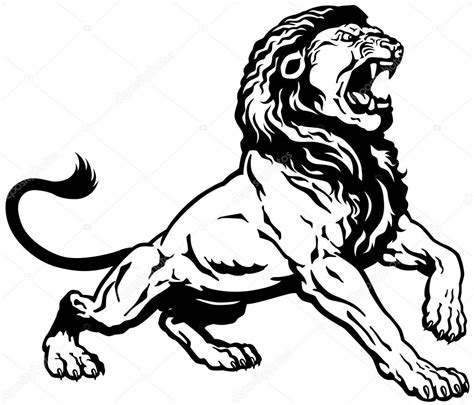 Lion Roaring Black And White Front View