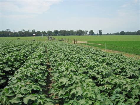 Larry Ford honored as the Northwest Florida Agricultural Innovator of the Year by UF/IFAS ...