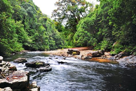 Taman Negara in Malaysia: The Complete Guide