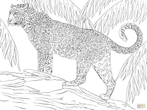 Coloriage - Jaguar dans la forêt | Coloriages à imprimer gratuits