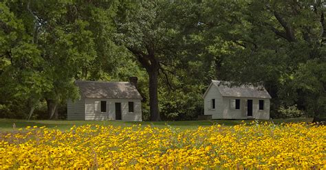 McLeod Plantation Historic Site | Charleston County Parks and Recreation