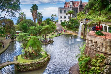 Monte Palace Tropical Garden, Funchal, île De La Madère, Portugal Photo éditorial - Image: 59145246