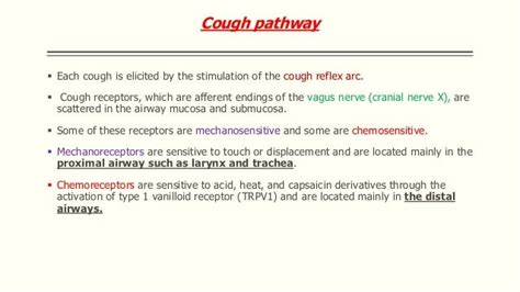 Cough Reflex Pathway - Herbs and Food Recipes