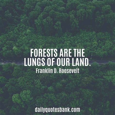 100 Inspirational Quotes About Planting Trees For Future Generations