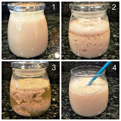 HOW TO MAKE DAIRY FREE KEFIR | FitQuest Nutrition