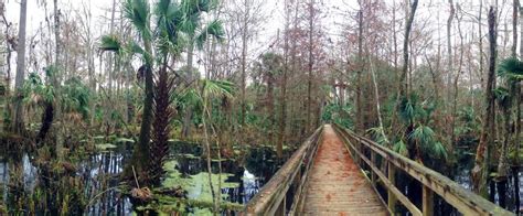 Trails of Silver Springs | Florida State Parks