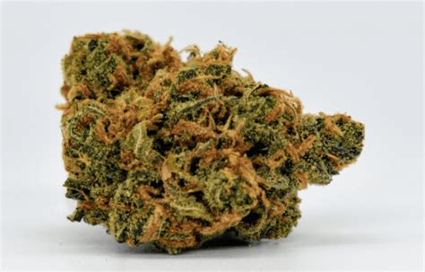 10 Rarest Weed Strains in the World - Rarest.org