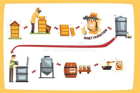 Honey Production Process, Storage, Filtration and Pasteurization Vector ...