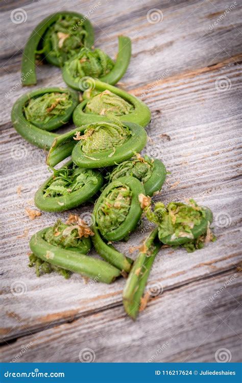 Fresh Edible Fiddlehead Fern Stock Photo - Image of wooden, produce ...