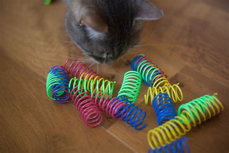 Cheap Cat Toys: Kitty Entertainment Under $10 I'm Dying to Try Out!