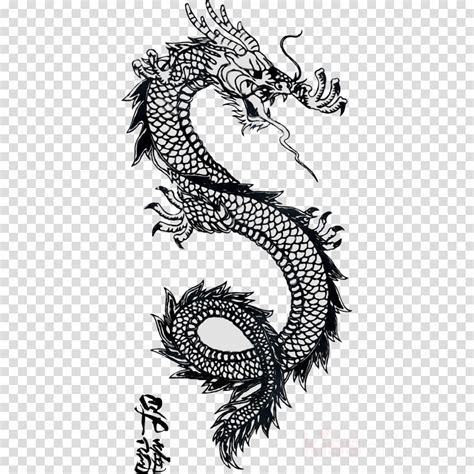 26 best ideas for coloring | Dragon Tattoo Png