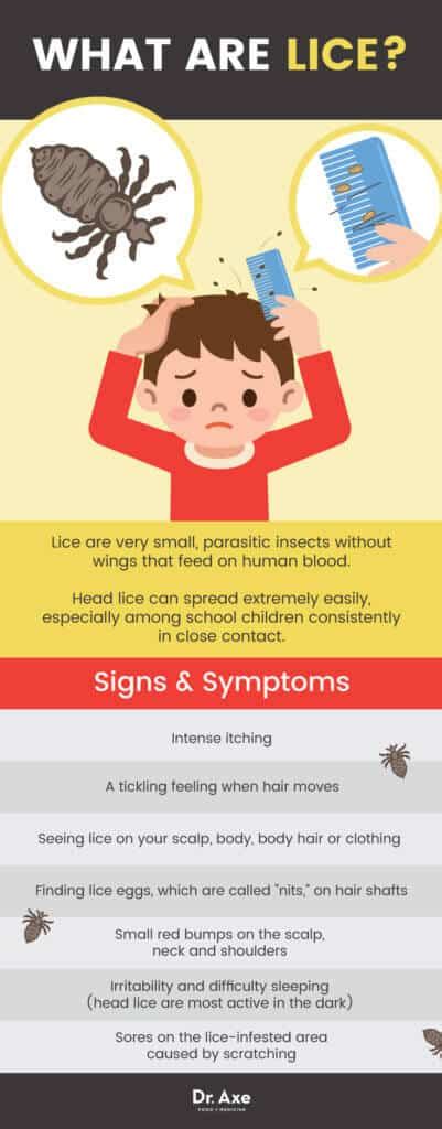 8 Remedies and Treatments to Get Rid of Lice - Dr. Axe