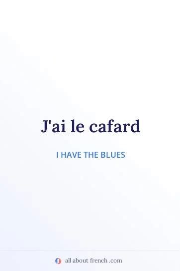 J'ai le cafard | Meaning & Example in a Sentence