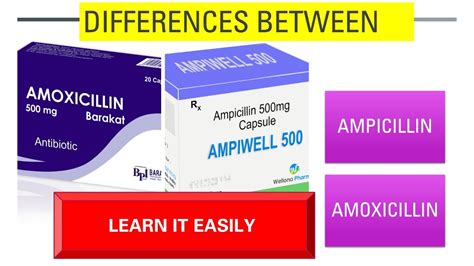 AMPICILLIN VS AMOXICILLIN//DIFFERENCE/SEMISYNTHETIC PENICILLIN - YouTube