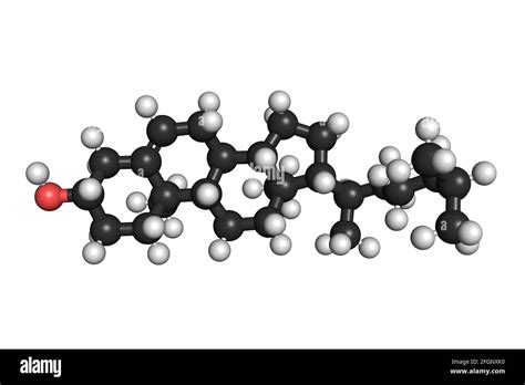 Cholesterol molecule lipid organic 3D render chemical structure Stock Photo - Alamy