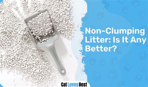 Clumping vs Non-Clumping Cat Litter: Which One Is Better?